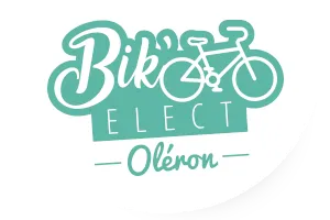 BIK'ELECT