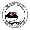 DG OPTIQUE