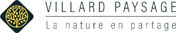VILLARD PAYSAGE