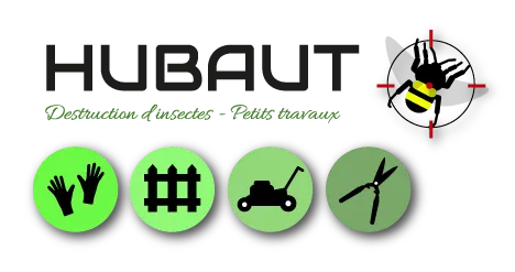 HUBAUT DIDIER