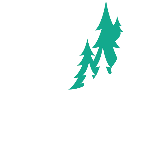 CHARPENTES BASTASI