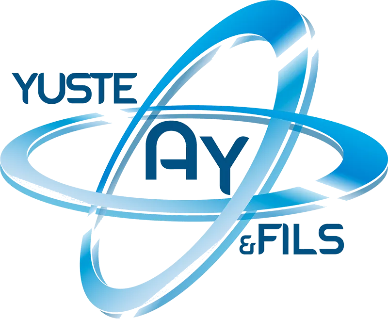 SOCIETE HOLDINF F.A.A.Y ET FILS