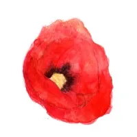 LE COQUELICOT REVUE