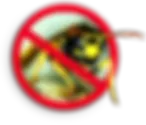 SL FRELONS