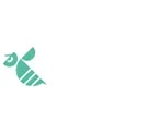 AERONUISIBLE