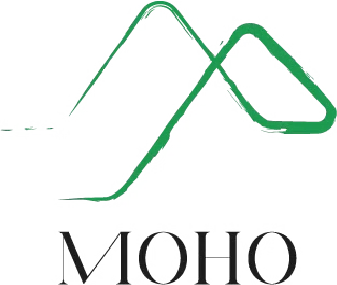 MOHO MOUNTAIN HOME (MMH)