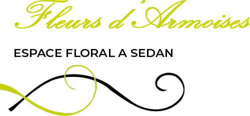 FLEURS D'ARMOISES