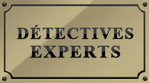 DETECTIVES-EXPERTS