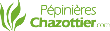 PEPINIERES CHAZOTTIER