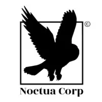 NOCTUA CORP