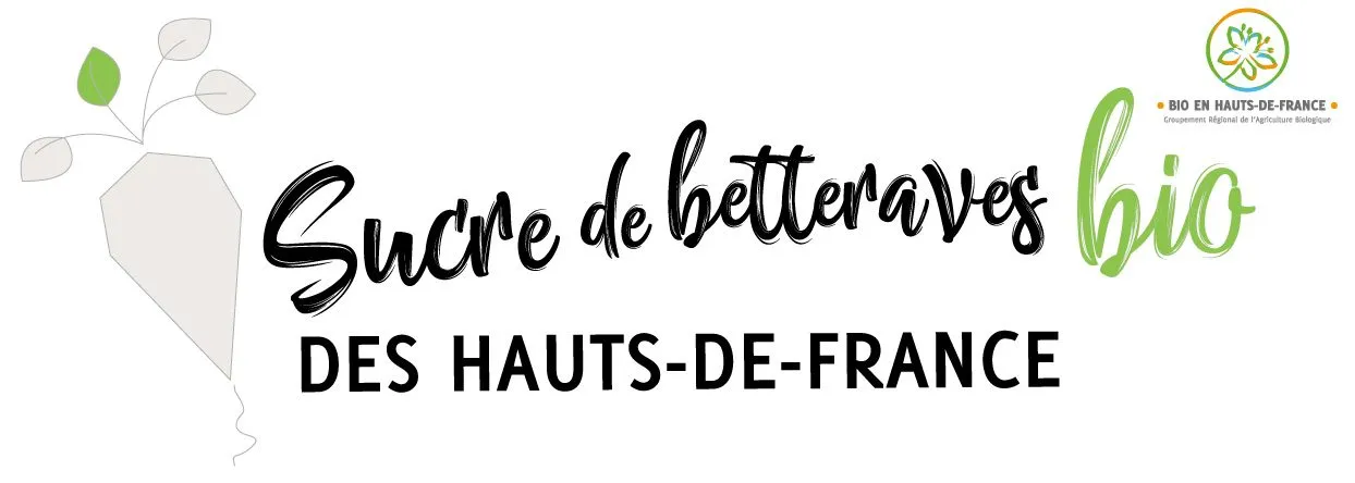 LA FABRIQUE A SUCRES