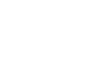 LE CABANON DES VIGNES