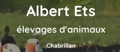 ETABLISSEMENTS E ALBERT