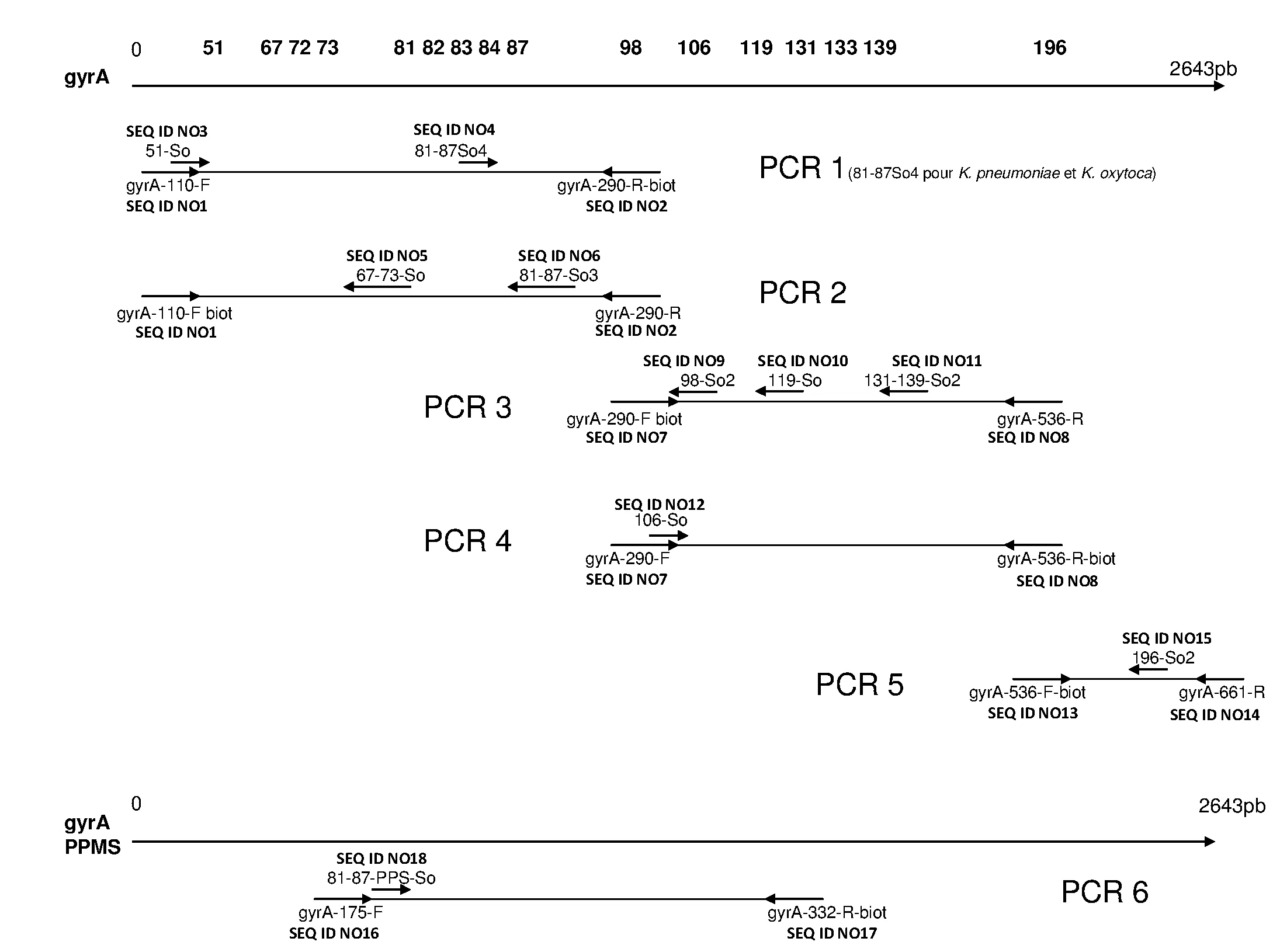 Methode de caracterisation des mutations chromosomiques des genes codant les topoisomerases bacteriennes